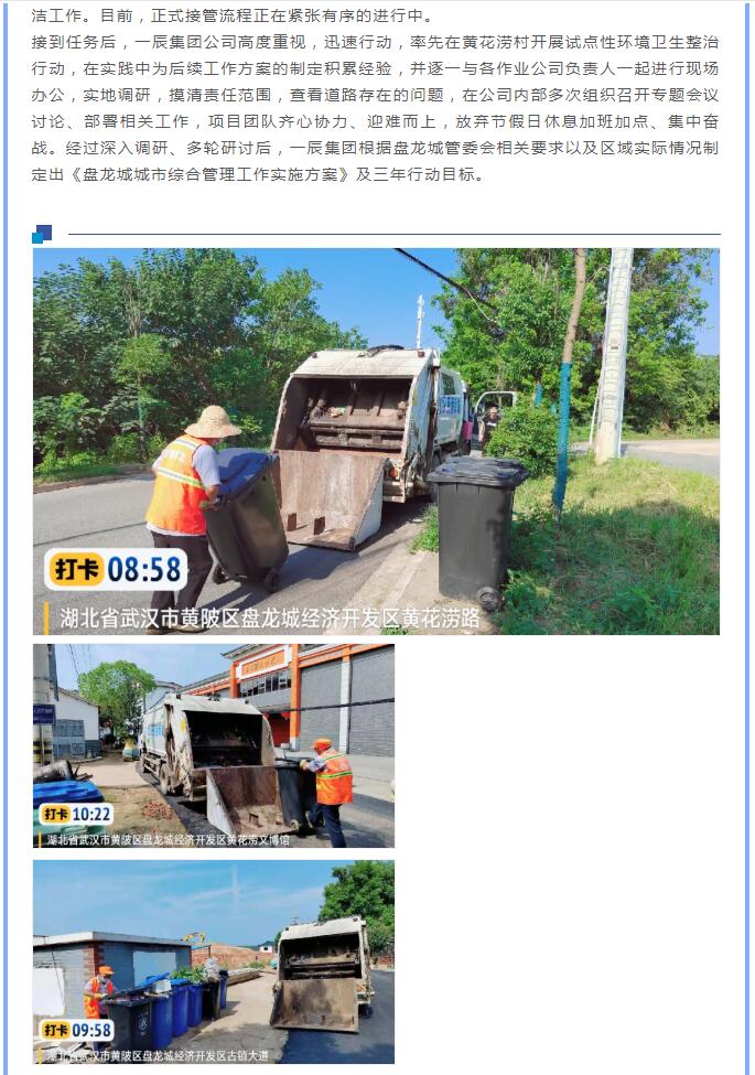 2024澳门原料网1688茄子