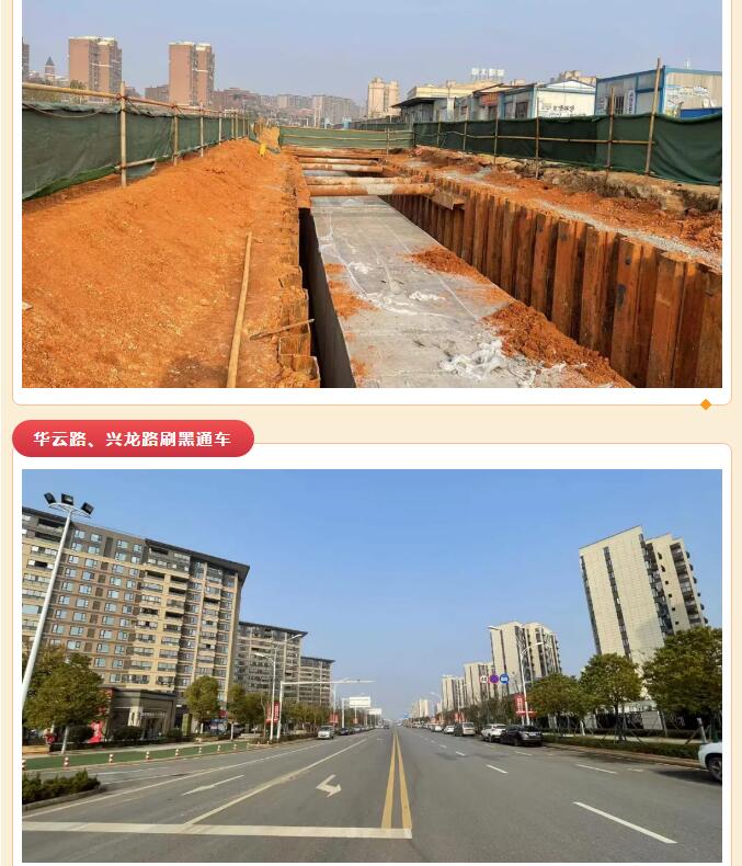 2024澳门原料网1688茄子