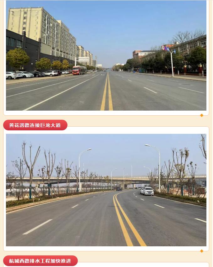 2024澳门原料网1688茄子